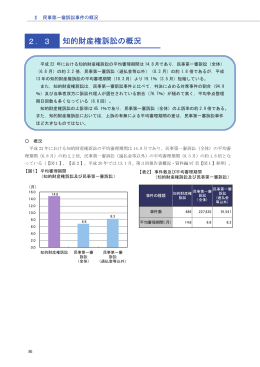 2．3 知的財産権訴訟の概況