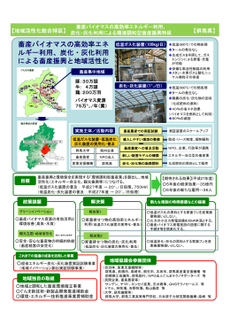 畜産バイオマスの高効率エネ ルギー利用、炭化・灰化利用 による畜産