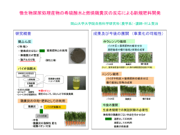 微生物屎尿処理産物の希硫酸水と燃焼鶏糞灰の反応による新規肥料開発