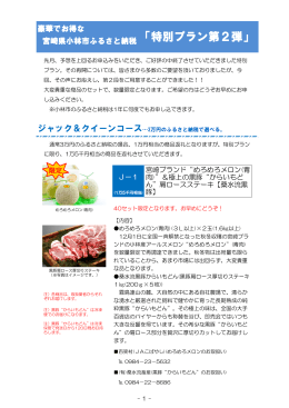 「特別プラン第2弾」