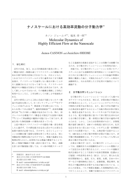 ナノスケールにおける高効率流動の分子動力学