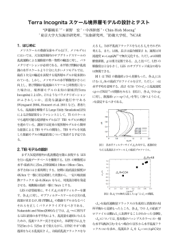 Terra Incognita スケール境界層モデルの設計とテスト
