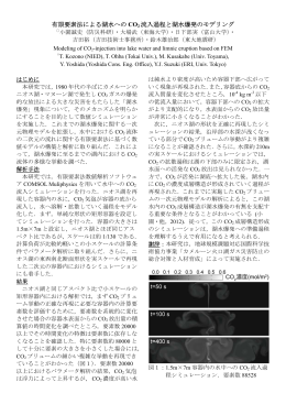 有限要素法による湖水への CO2 流入過程と湖水爆発のモデリング
