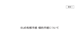 資料1 EUの和解手続・確約手続について（PDF形式：374KB）