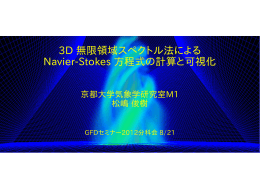 3D 無限領域スペクトル法による Navier