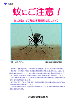 蚊に刺されて発症する感染症について