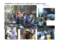 鳥取県芦津モモンガの森と村で学ぶ「生態系の営み」と「生態系からの恵み」