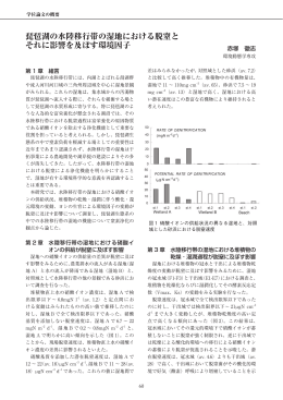 琵琶湖の水陸移行帯の湿地における脱窒と それに影響を及ぼす環境因子