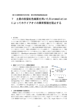7 土着の脱窒紅色細菌を用いたBioremediation によってホテイアオイの