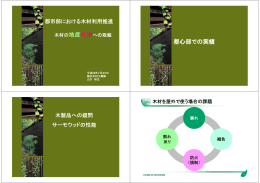 都心部での実績 - 木材利用推進中央協議会