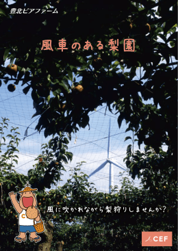 風に吹かれながら梨狩りしませんか？