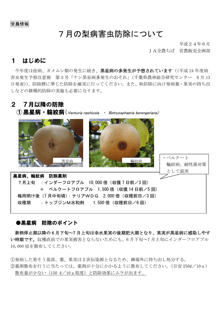 7月の梨病害虫防除について