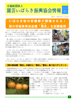 いばらき秋の収穫祭が開催される！ 梨の茨城県育成品種「恵 水 」を試験