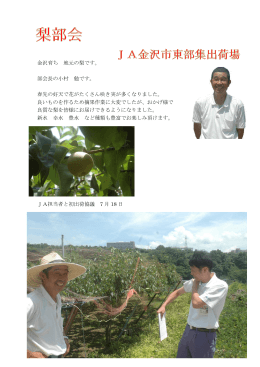 金沢育ち 地元の梨です。 部会長の小村 勉です。 春先の好天で花が