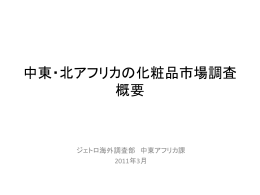 中東・北アフリカの化粧品市場調査 概要
