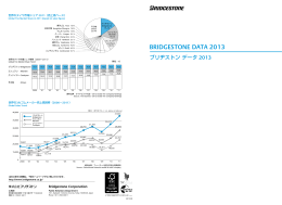 ブリヂストン データ 2013