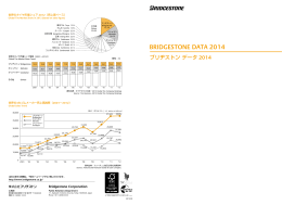 BRIDGESTONE DATA 2014 （979KB）