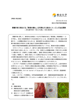膵液の漏れ - 東京大学医学部附属病院