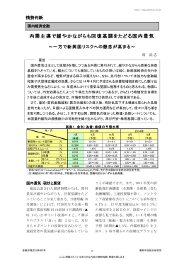 内需主導で緩やかながらも回復基調をたどる国内景気