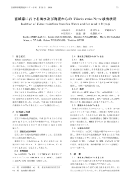8) 宮城県における海水及び海泥からのVibrio vulnificus検出状況 [PDF