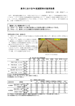 麦作におけるPK低減肥料の施用効果 [PDFファイル／391KB]