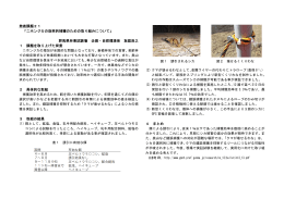 発表課題21 「ニホンジカの効率的捕獲のための取り組みについて」 群馬