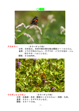蝶類・昆虫類ほか（PDF：4253KB）