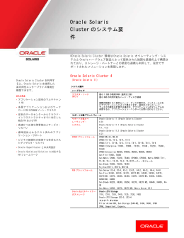 Oracle Solaris Clusterのシステム要件