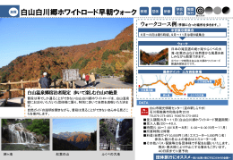 白山白川郷ホワイトロード早朝ウォーク資料のダウンロード（PDF：402KB）