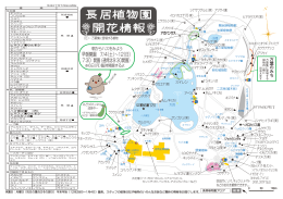 早朝開園 7/4（土）&sim;12（日）