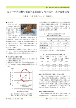 カラマツ大径材の価値向上を目指した木取り・水分管理技術