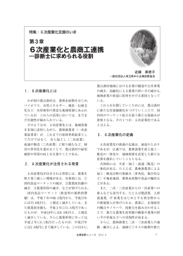 3．6次産業化と農商工連携 （PDF 4.7MB）