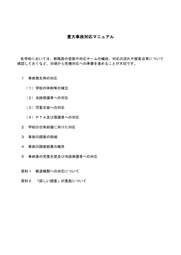 重大事故対応マニュアル [369KB pdfファイル]