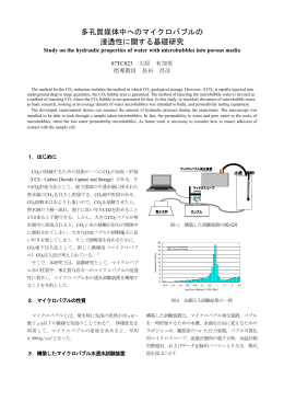 多孔質媒体中へのマイクロバブルの 浸透性に関する基礎研究