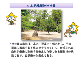 神社裏の森林は、高木・亜高木・低木から、その 根元に繁茂する下草まで