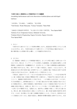 干渉計の組立と環境相および固液界面のその場観察 Assembling