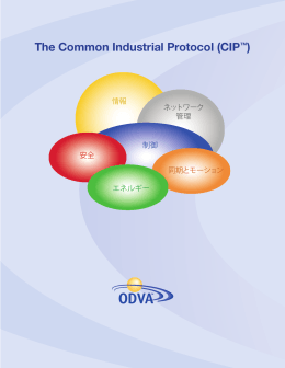 The Common Industrial Protocol (CIP™)