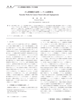 がん幹細胞の血管ニッチと血管新生
