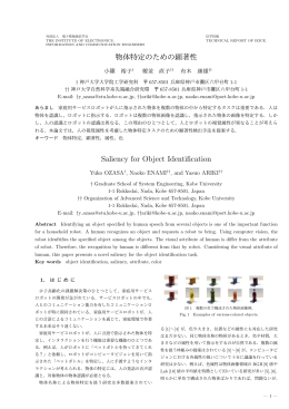 物体特定のための顕著性 Saliency for Object Identification