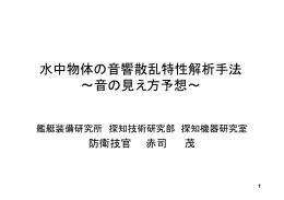 水中物体の音響散乱特性解析手法 &sim;音の見え方予想&sim;