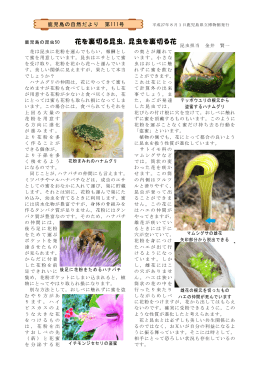 花を裏切る昆虫，昆虫を裏切る花（PDF：264KB）