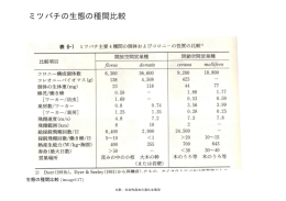 ミツバチの生態の種間比較
