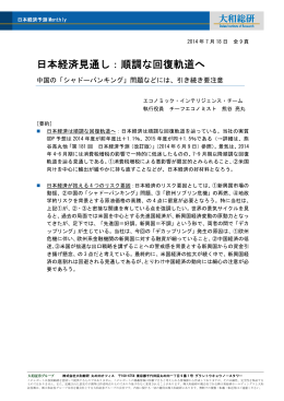順調な回復軌道へ 日本経済予測 Monthly 2014 年 7 月 18
