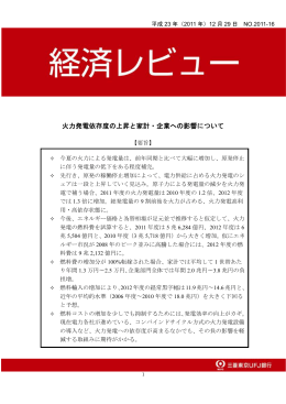 火力発電依存度の上昇と家計・企業への影響について