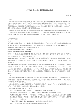 8．PCR を用いた豚丹毒迅速診断法の検討