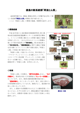 徳島の新系統豚「阿波とん豚」