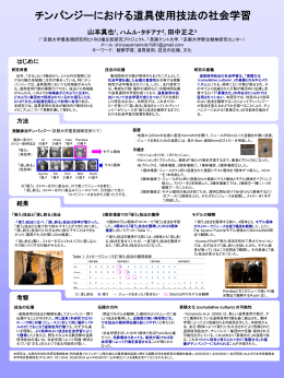 説明資料: チンパンジーにおける道具使用技法の社会学習
