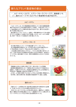 新たなブランド農産物の創出（PDF：331KB）