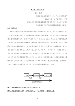 RNA の世界 富田耕造 産業技術総合研究所 バイオメディカル研究部門