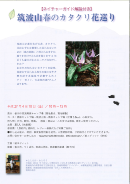 こちらをクリック